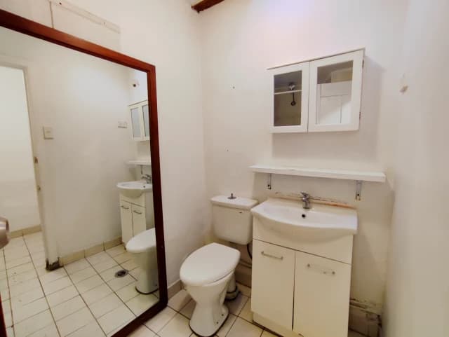 537 Harris St, Ultimo image 3