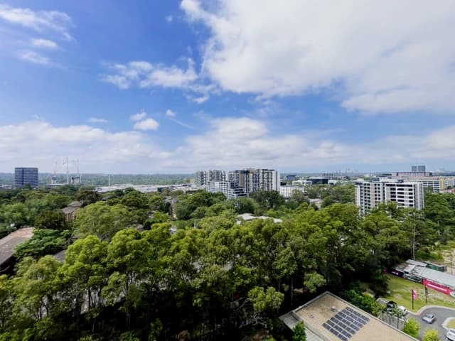 1 bed 1 bath*1108