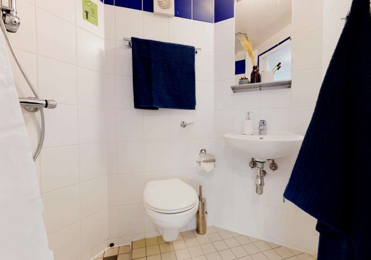 iQ Fenton House image 5