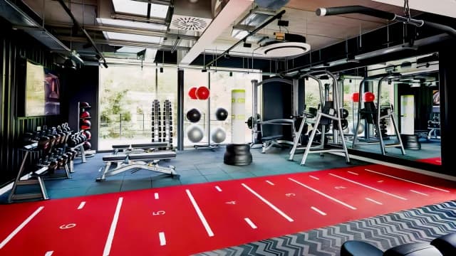 Studio