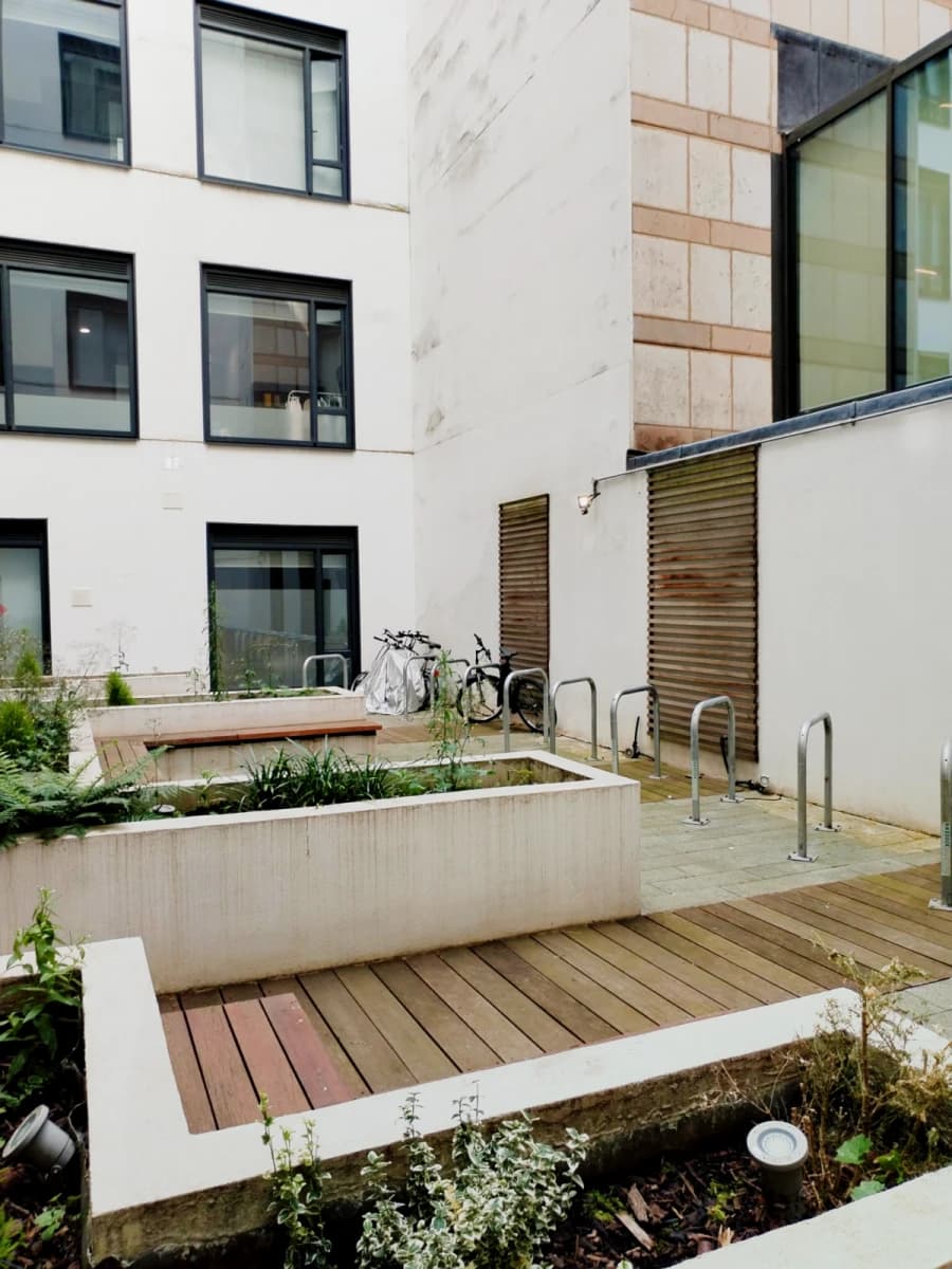 iQ Bloomsbury image