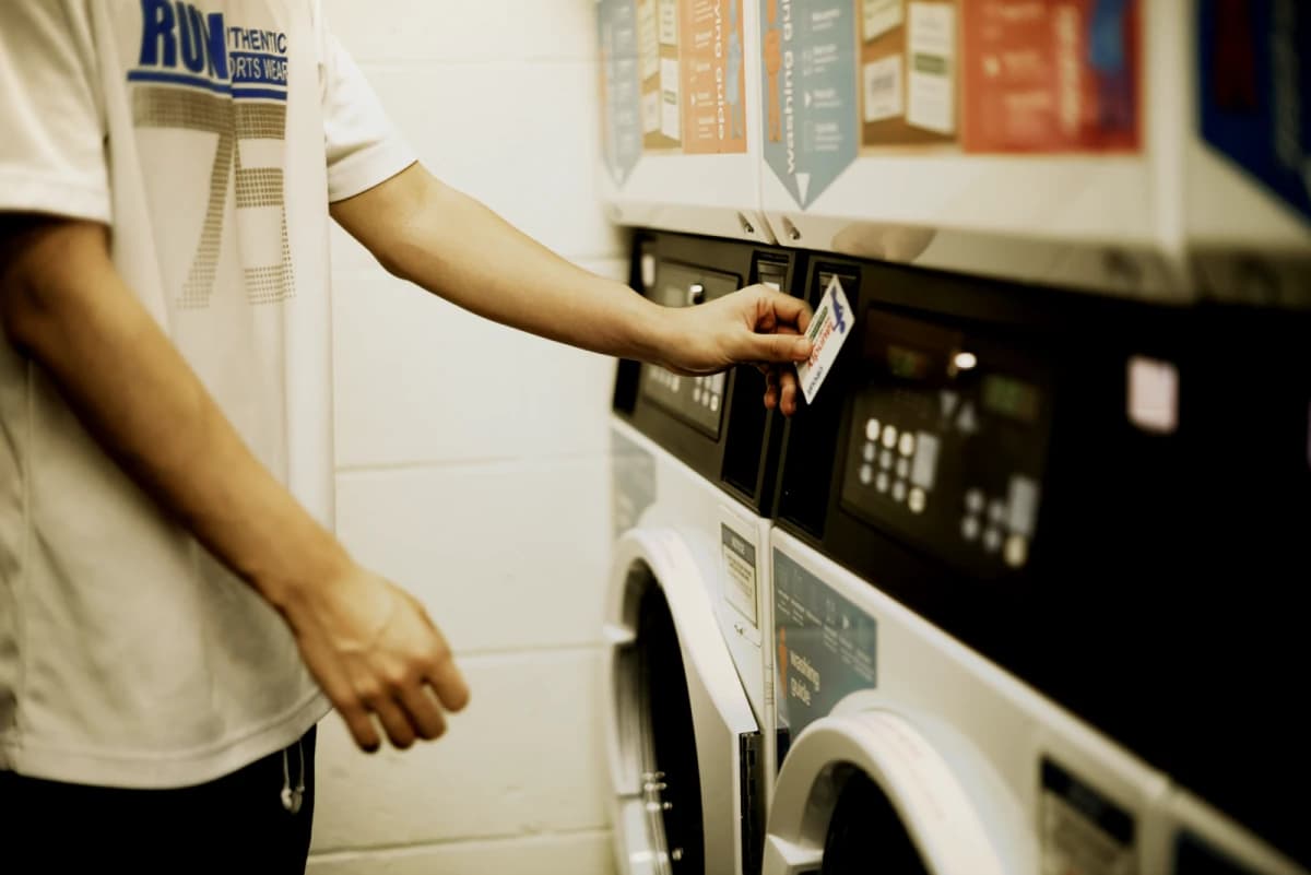 Lnt Chapter Portobelloy image 4