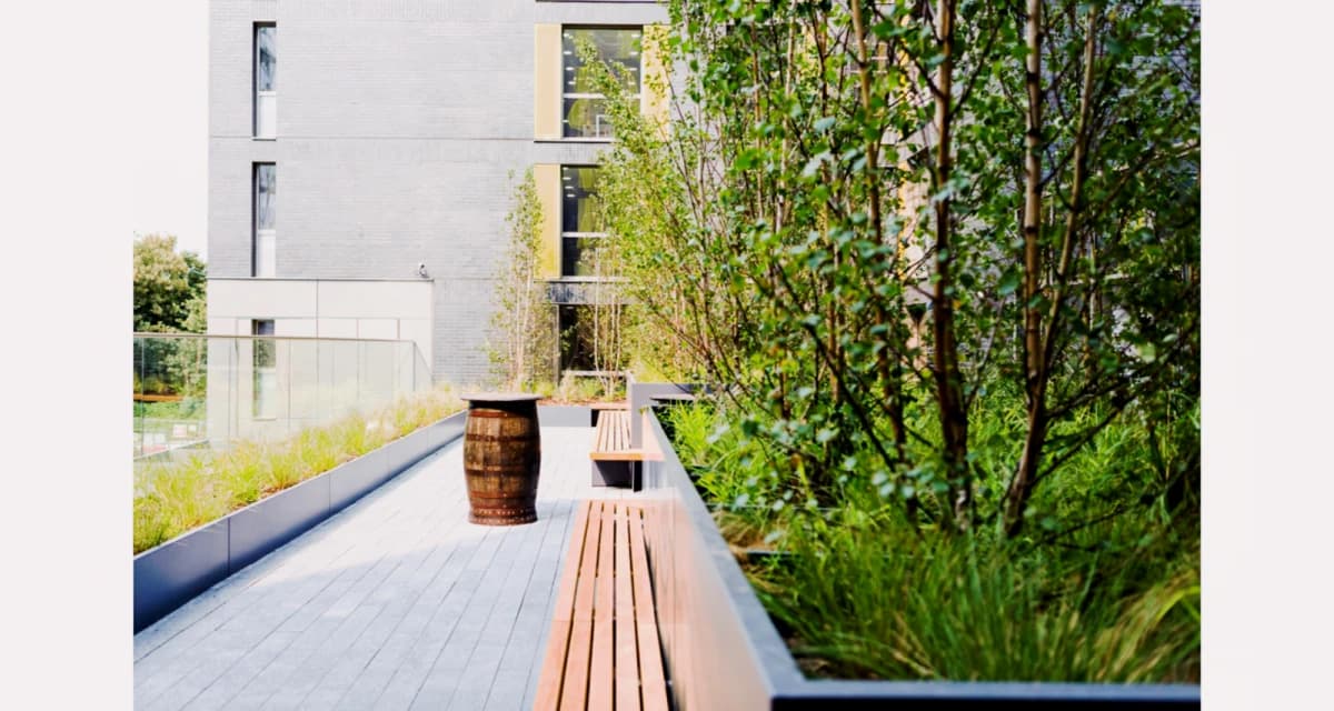 Outdoor Features