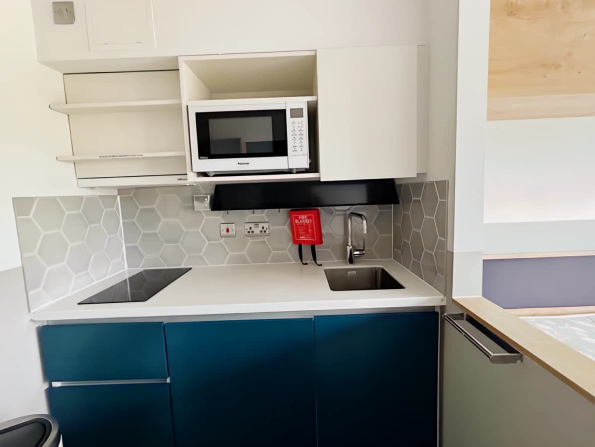 Electric Stove