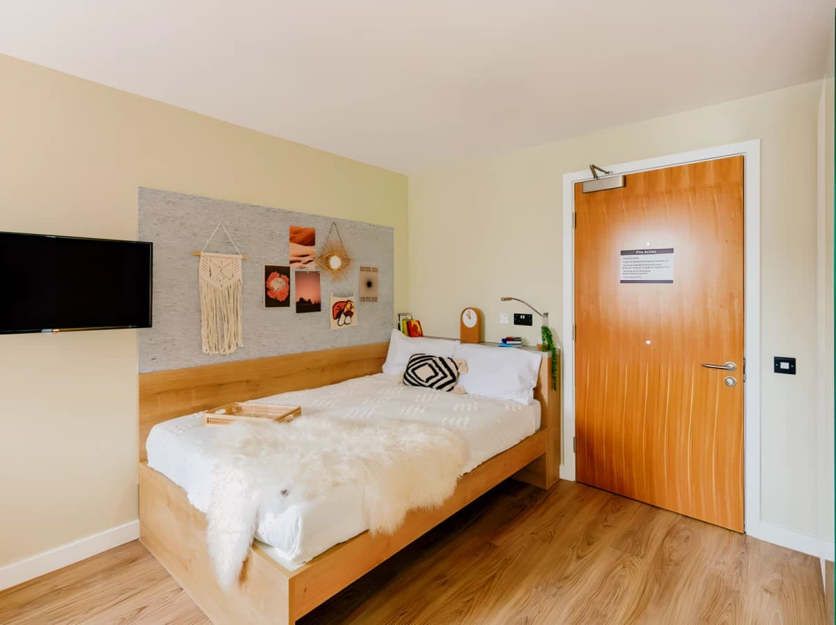 Yugo The Curve image