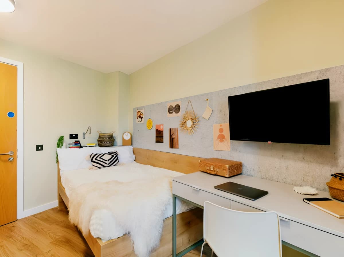 Yugo The Curve image