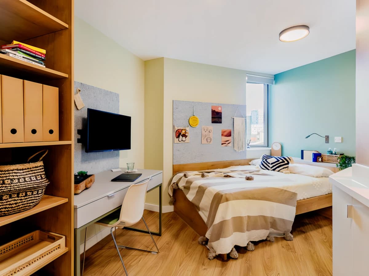 Yugo The Curve image 3