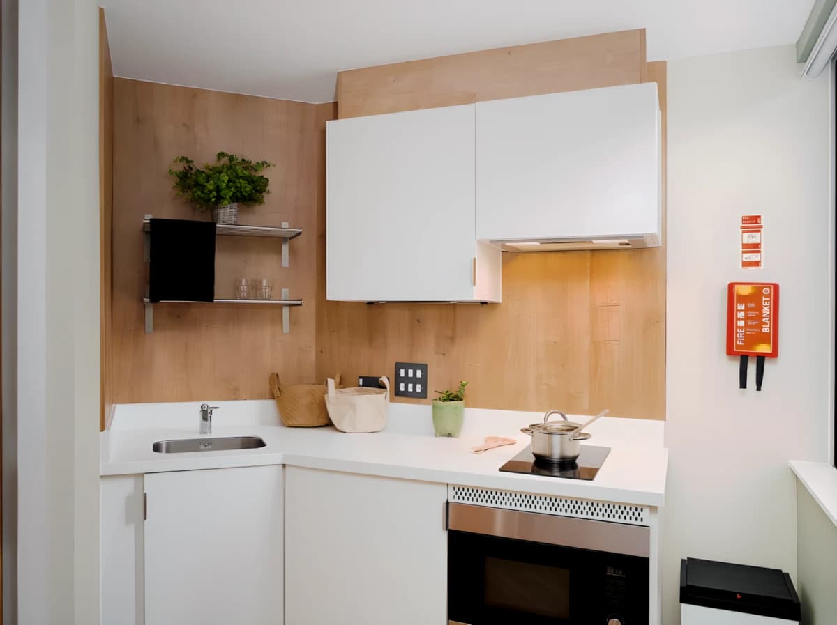 Yugo The Curve image