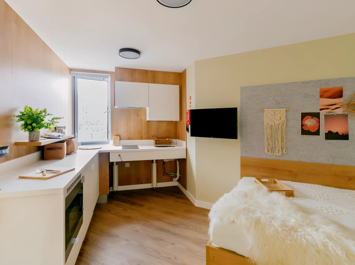 Yugo The Curve image