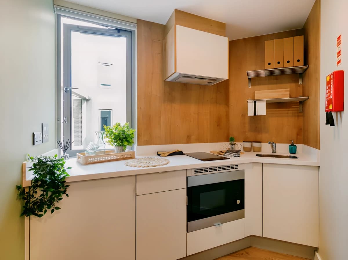 Yugo The Curve image 5