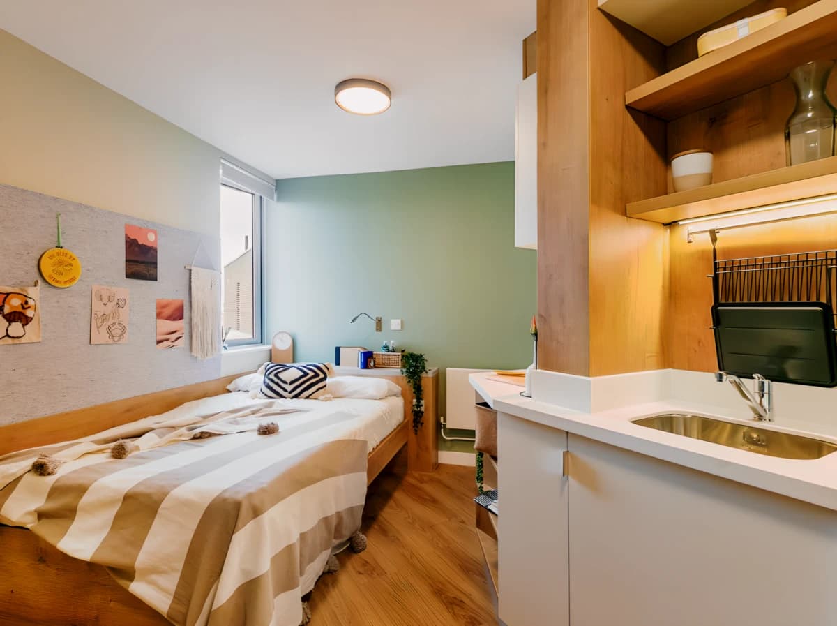 Yugo The Curve image