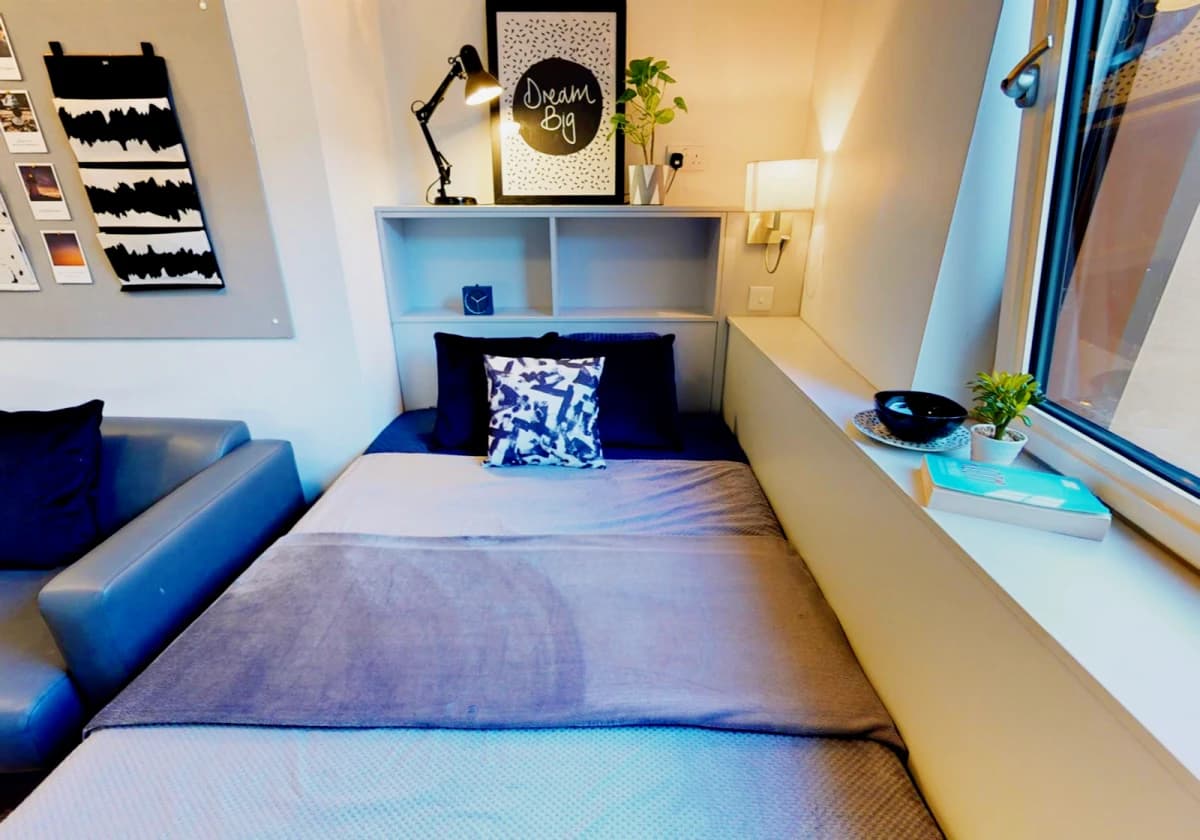 iQ Magenta House image