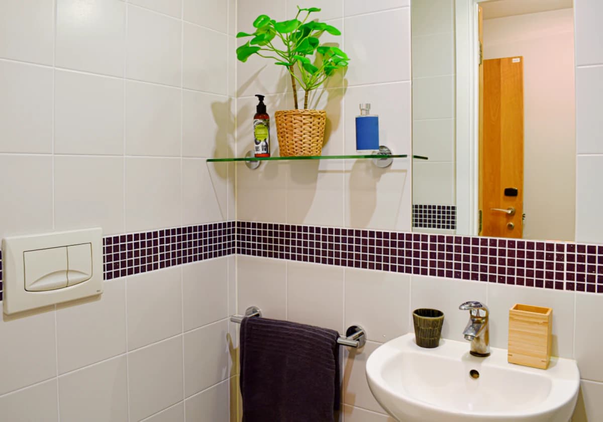 iQ Magenta House image