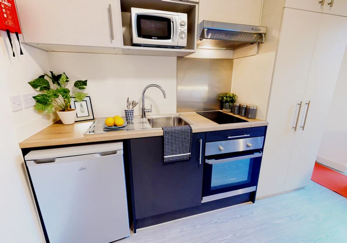 iQ Magenta House image 3