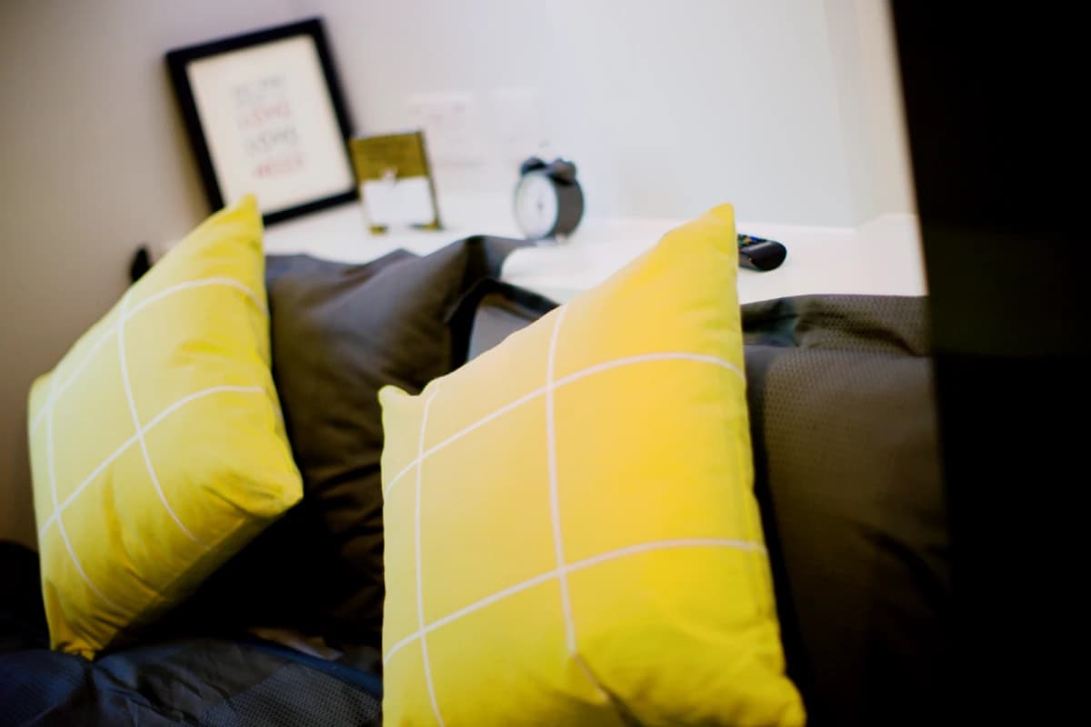ViBe Student Living image