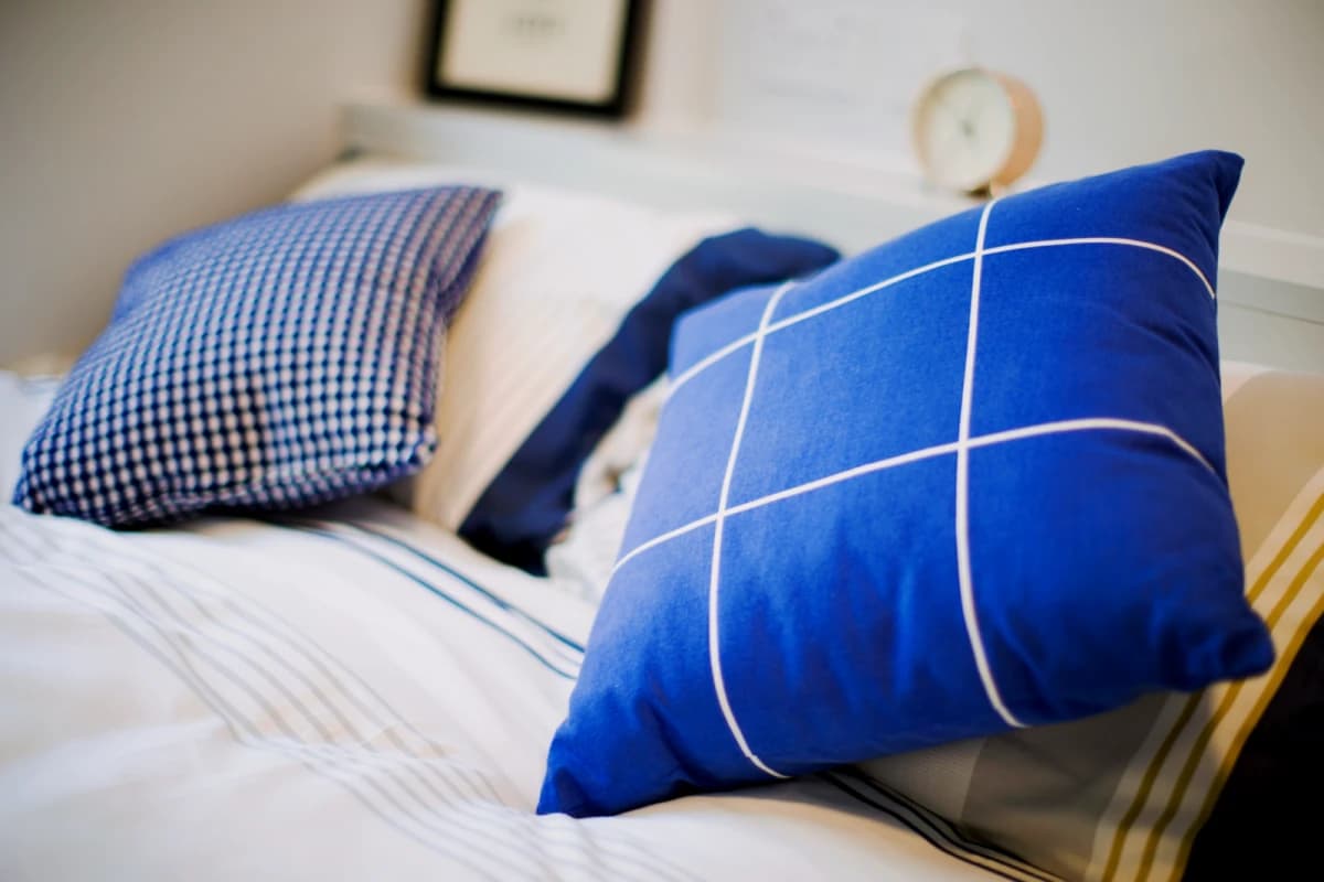 ViBe Student Living image