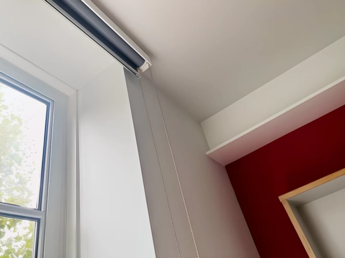 Window