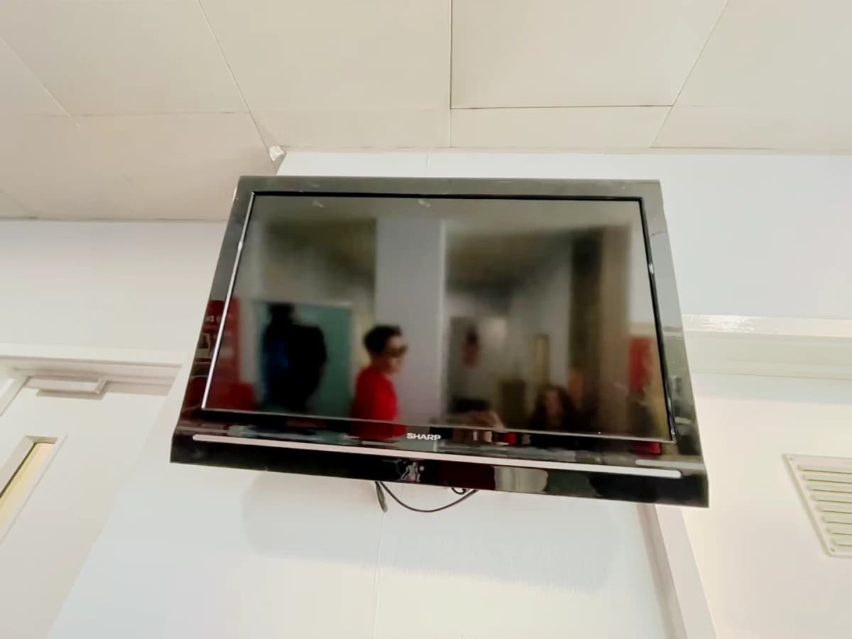 TV