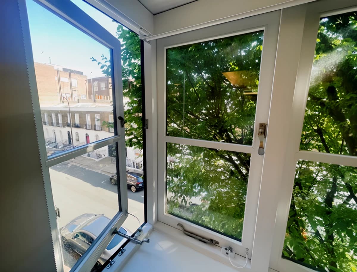 Window