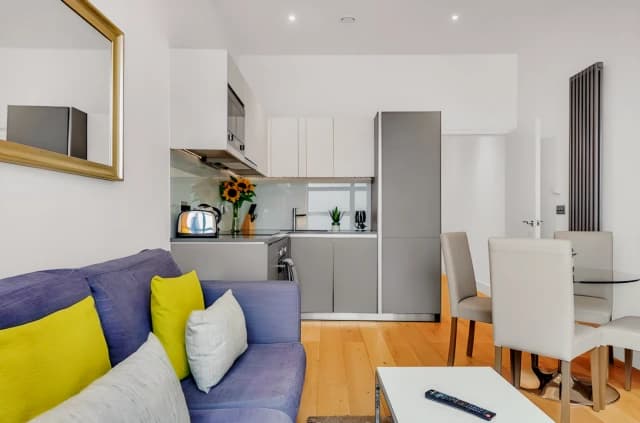 1 Bedroom Apartment