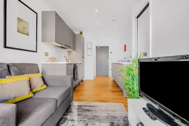 1 Bedroom Apartment