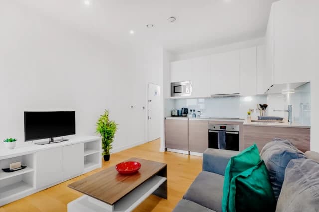 Large Studio Apartment