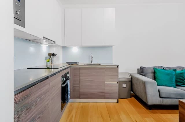 Large Studio Apartment