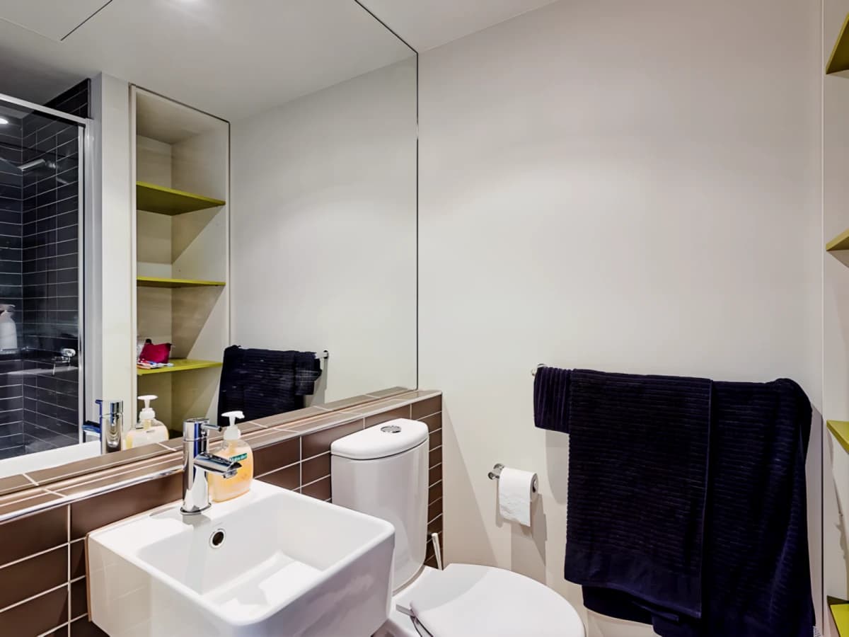 Student Living - Vivida image
