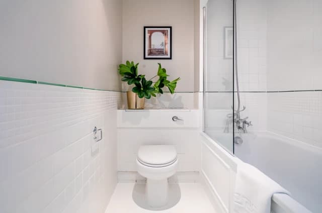 1 Bedroom 1 Bathroom