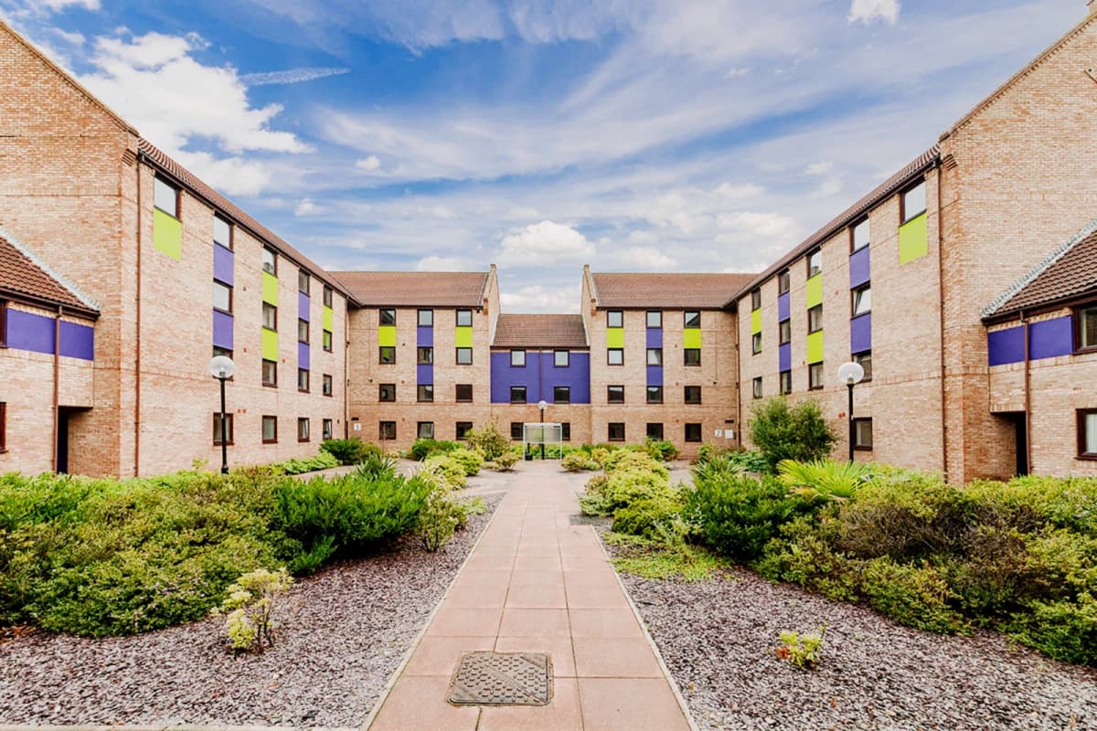 The Forge image 3