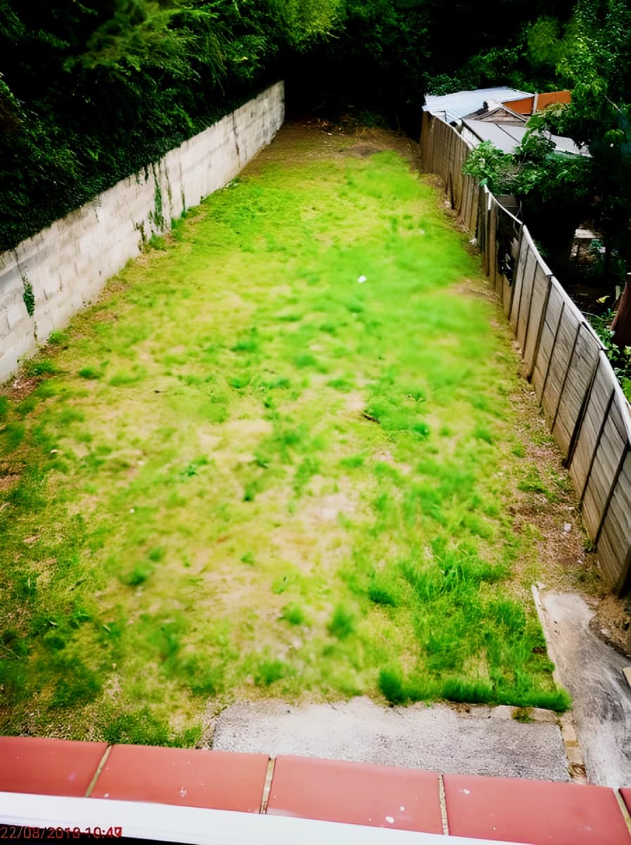 Outdoor Features