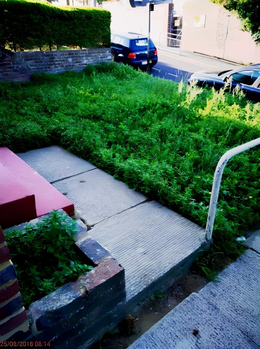 Outdoor Features