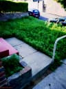 Outdoor Features