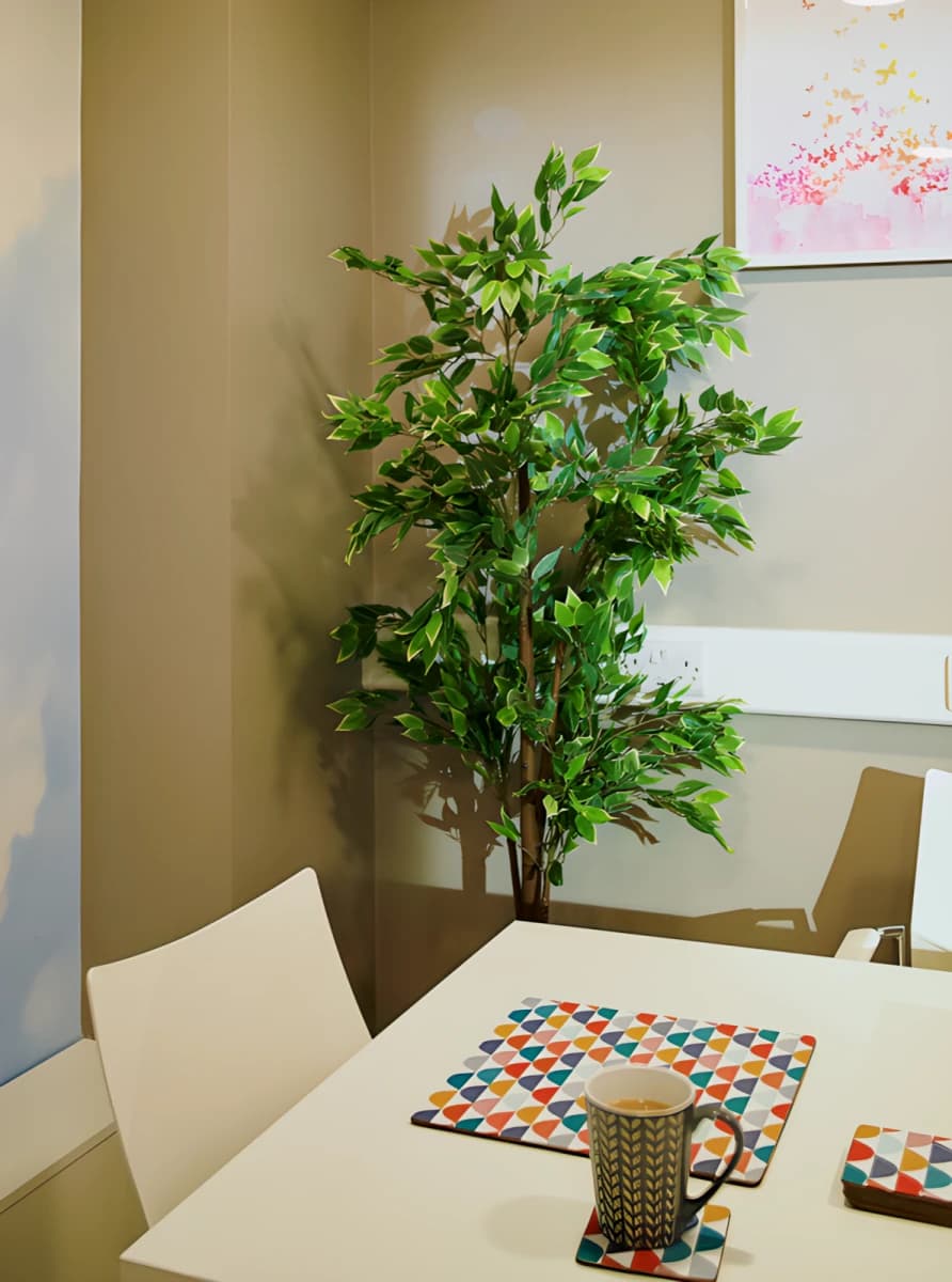 CEG Canterbury Halls image