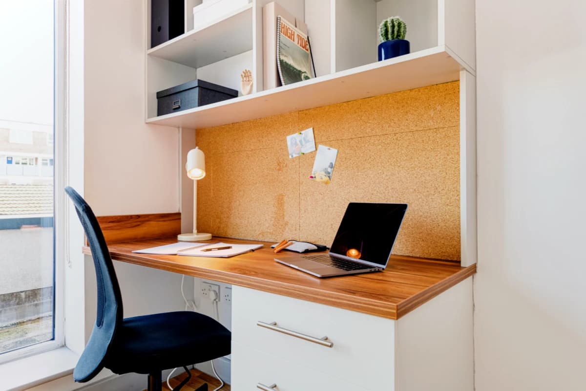 Premium Plus Studio