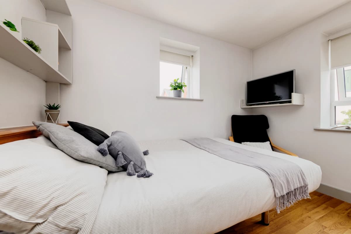 Premium Plus Studio
