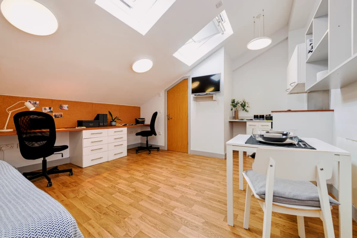 luxury Plus Studio