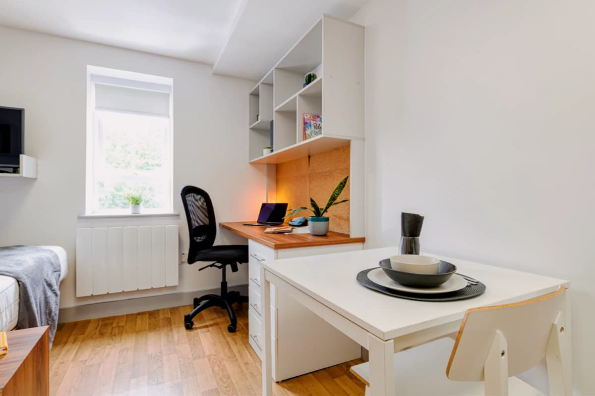 Standard Studio