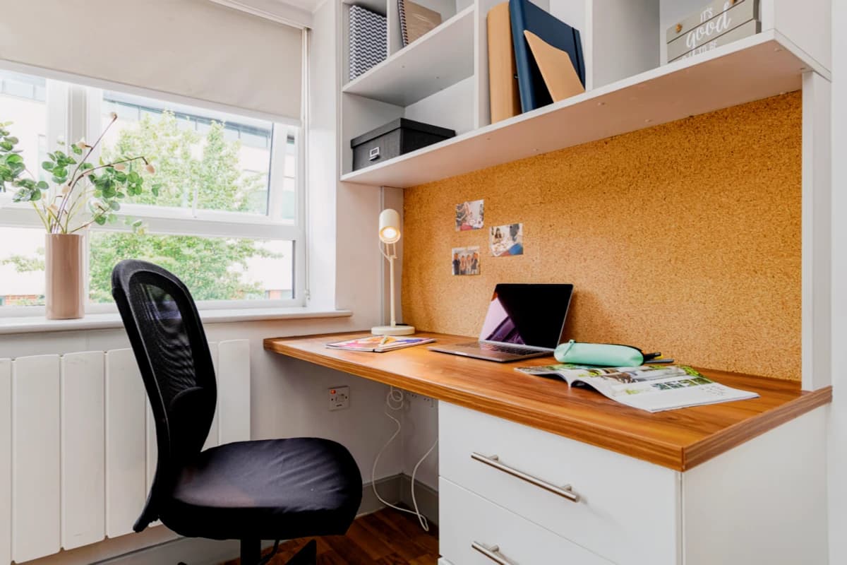 Premium Plus Studio
