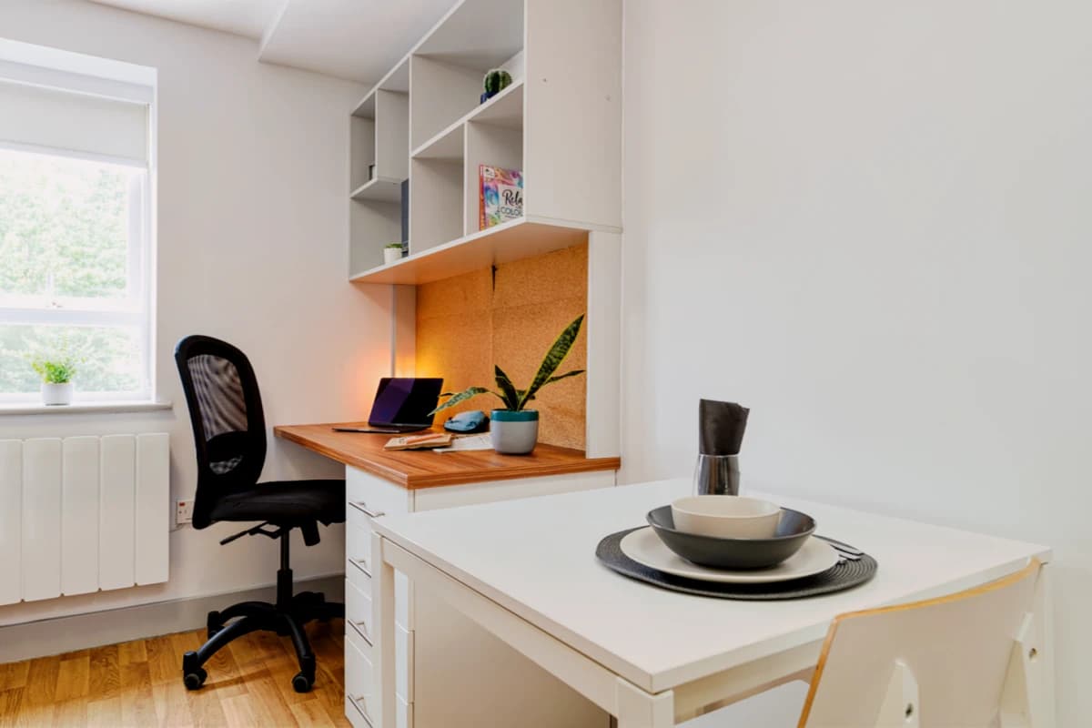 Standard Studio