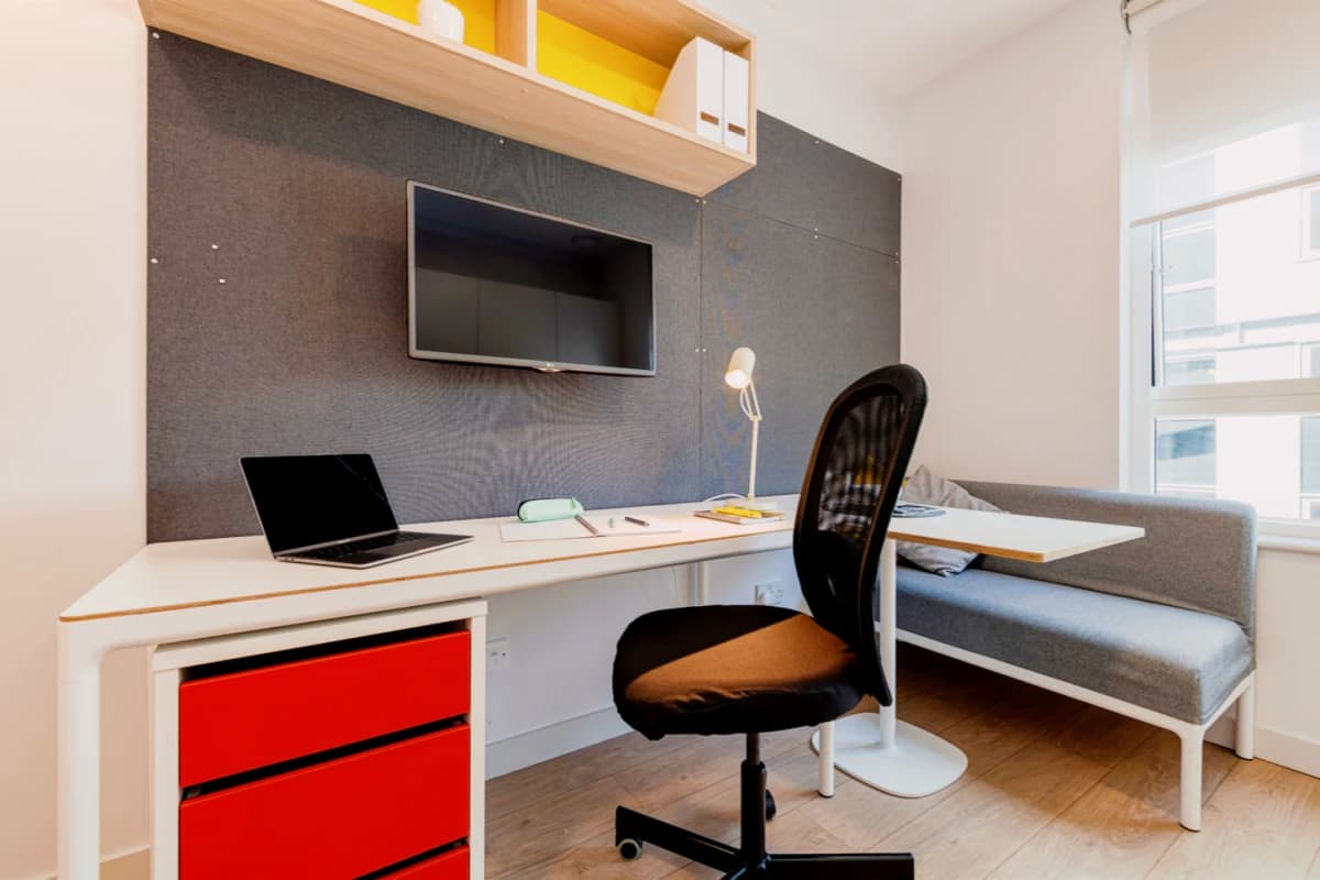 Standard Studio