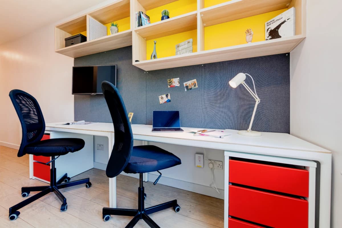 Luxury Studio