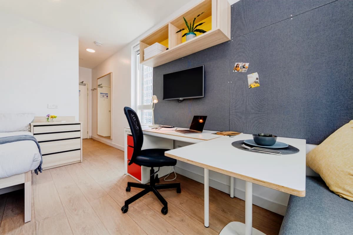 Premium Plus Studio
