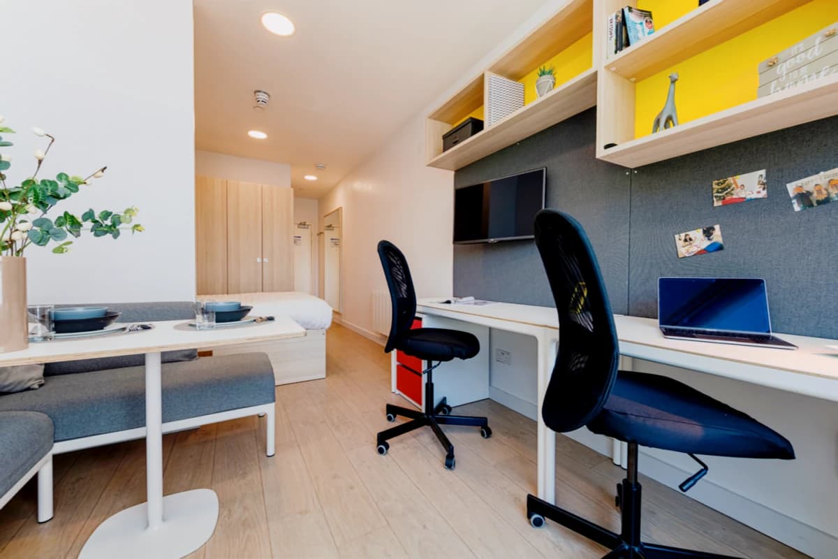 Luxury Studio