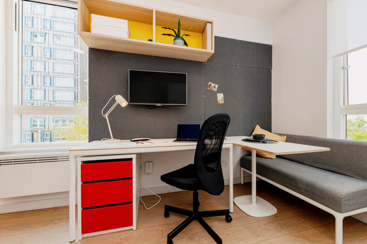 Premium Plus Studio