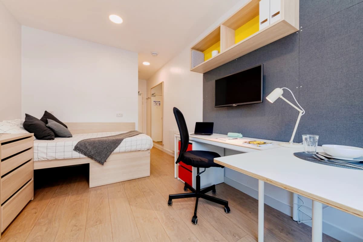Standard Studio