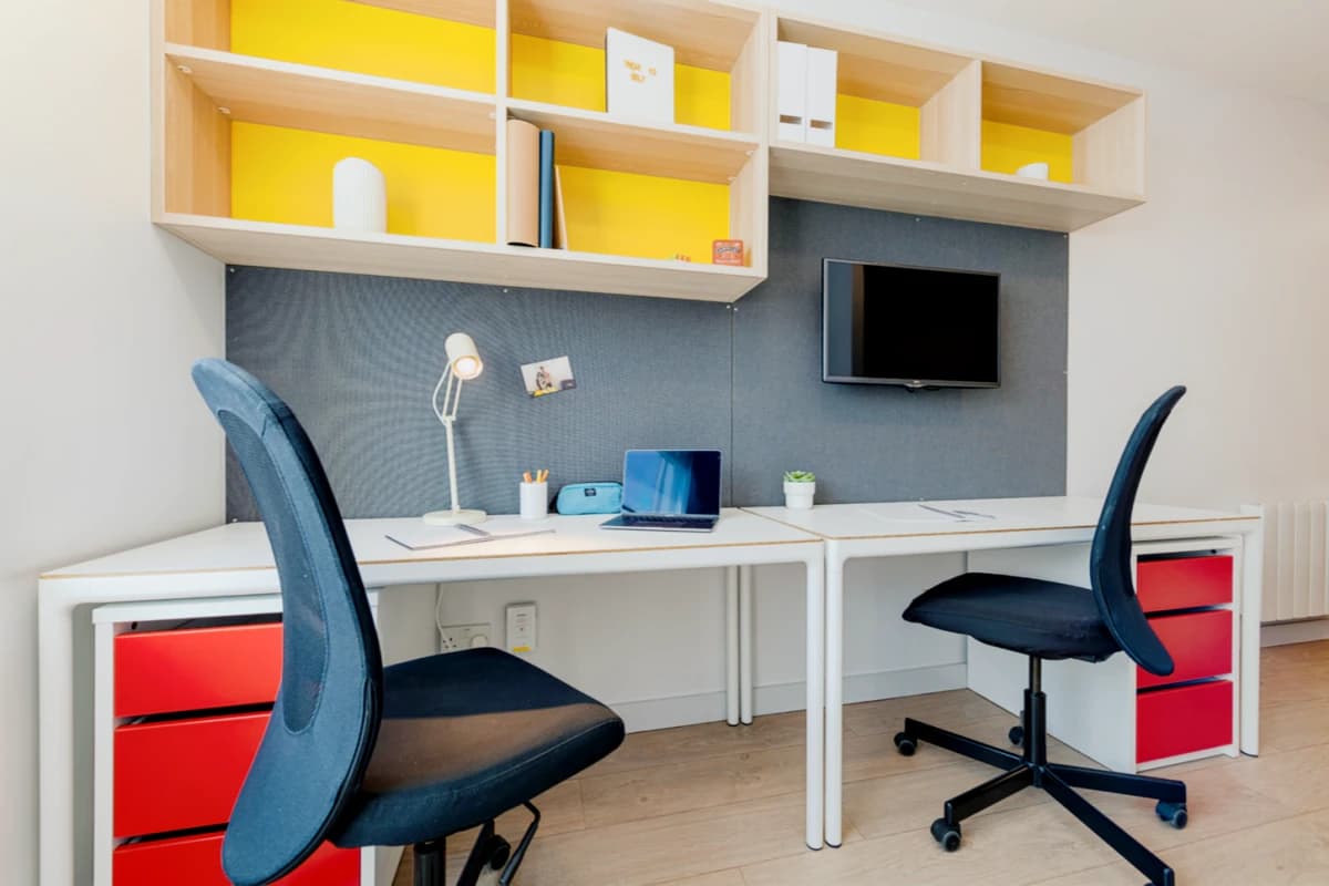Luxury Plus Studio