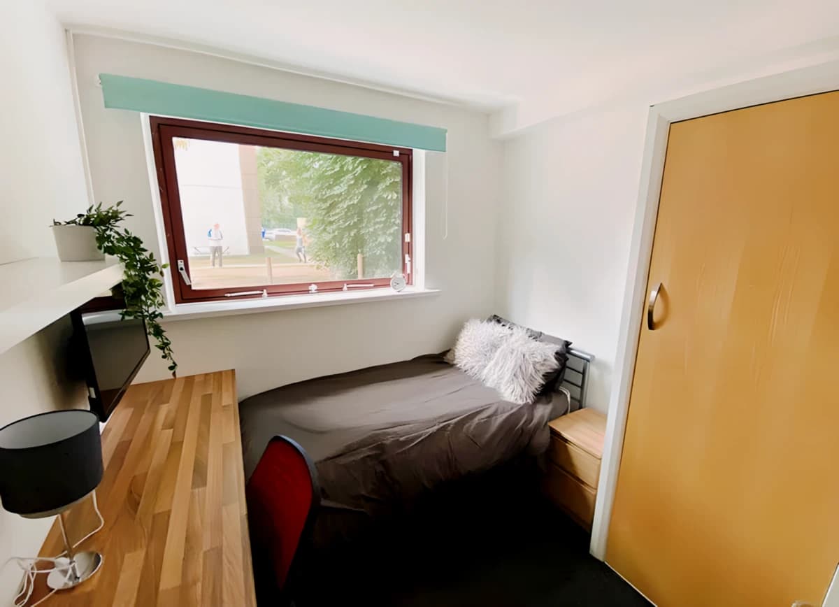 Forest Court image