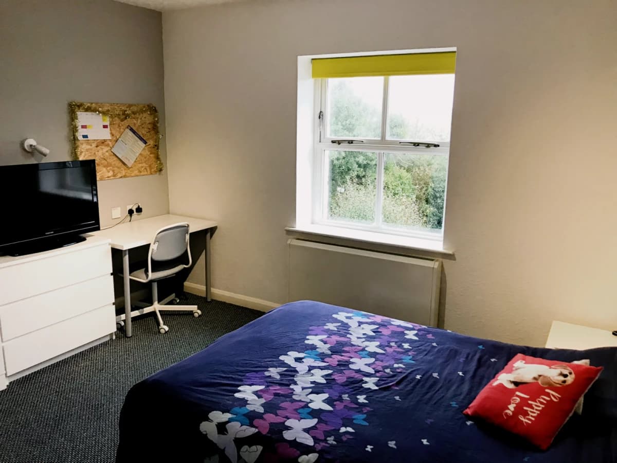5 Bed Apartment