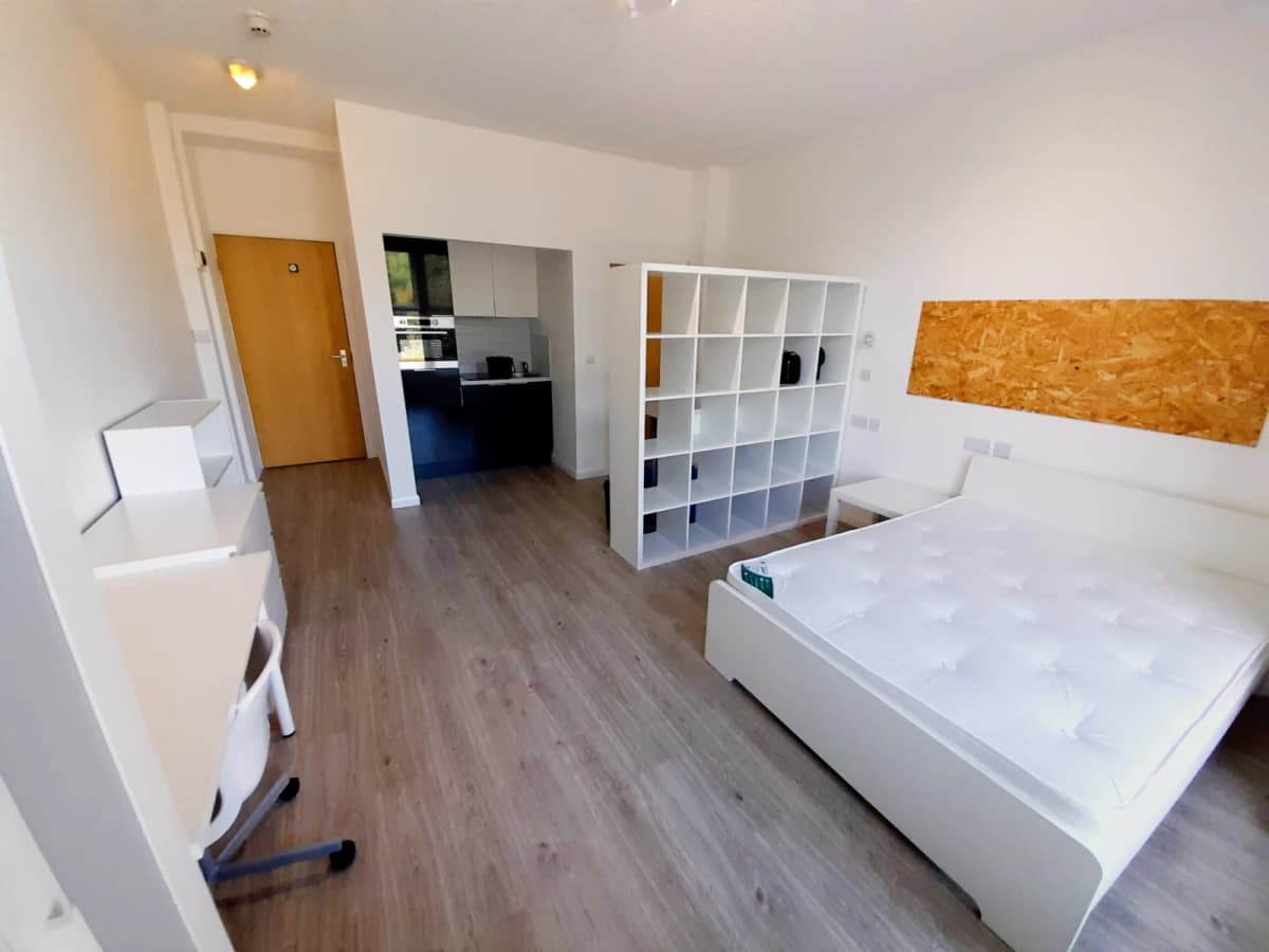 Large Studio